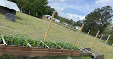Load image into Gallery viewer, Custom raised garden beds
