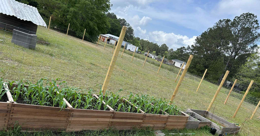 Custom raised garden beds