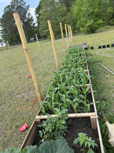 Load image into Gallery viewer, Custom raised garden beds
